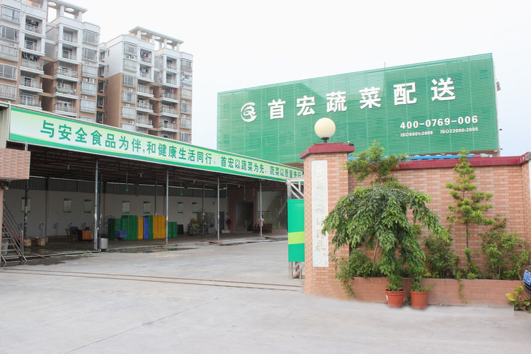 阳江蔬菜配送